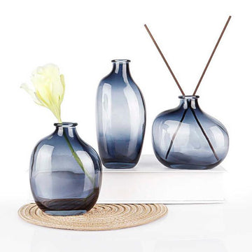 Retro Hydroponic Plant Vase